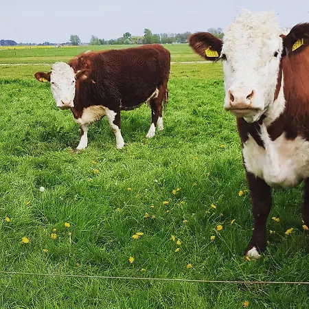 Ontbijt Bij De Boerenmeid Oda ve Kahvaltı