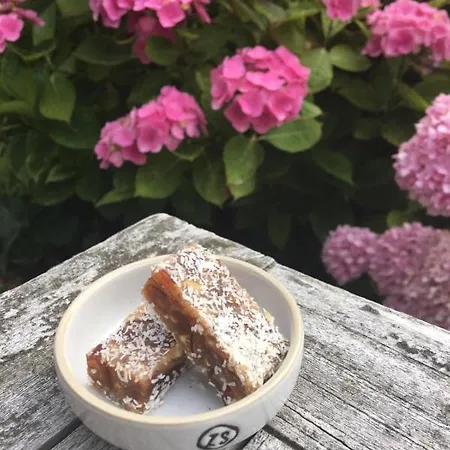 לינה וארוחת בוקר Ontbijt Bij De Boerenmeid 3*