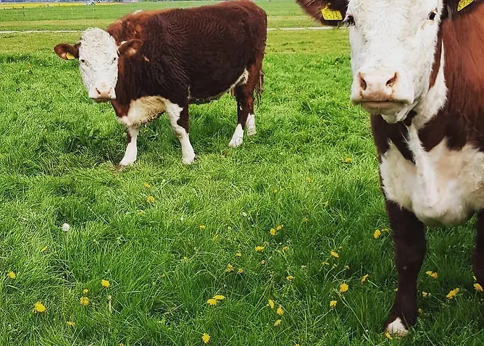 Ontbijt Bij De Boerenmeid Bed & Breakfast